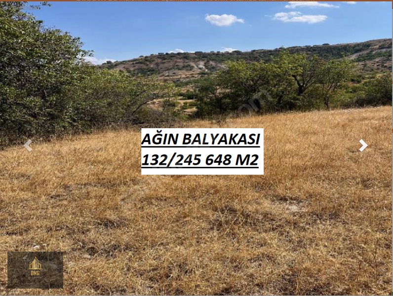 [bng] Ağın Balkayası'nda 648 M2 Tarla Takas & Taksit Mevcuttur