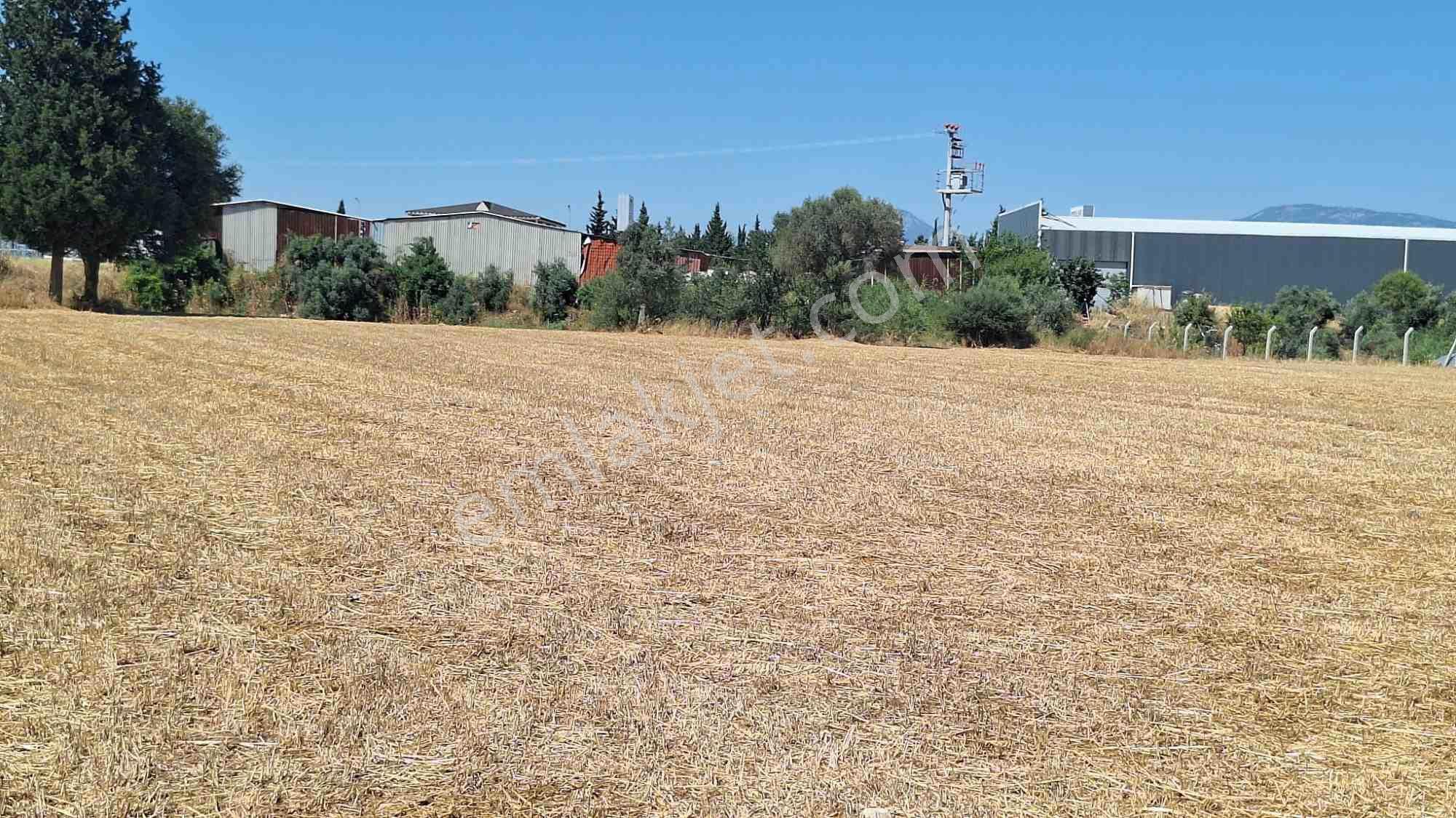 Adnan Menderes Hava Limanı Karşısında Satılık 41.180 M² Tarla — fotoğraf 11