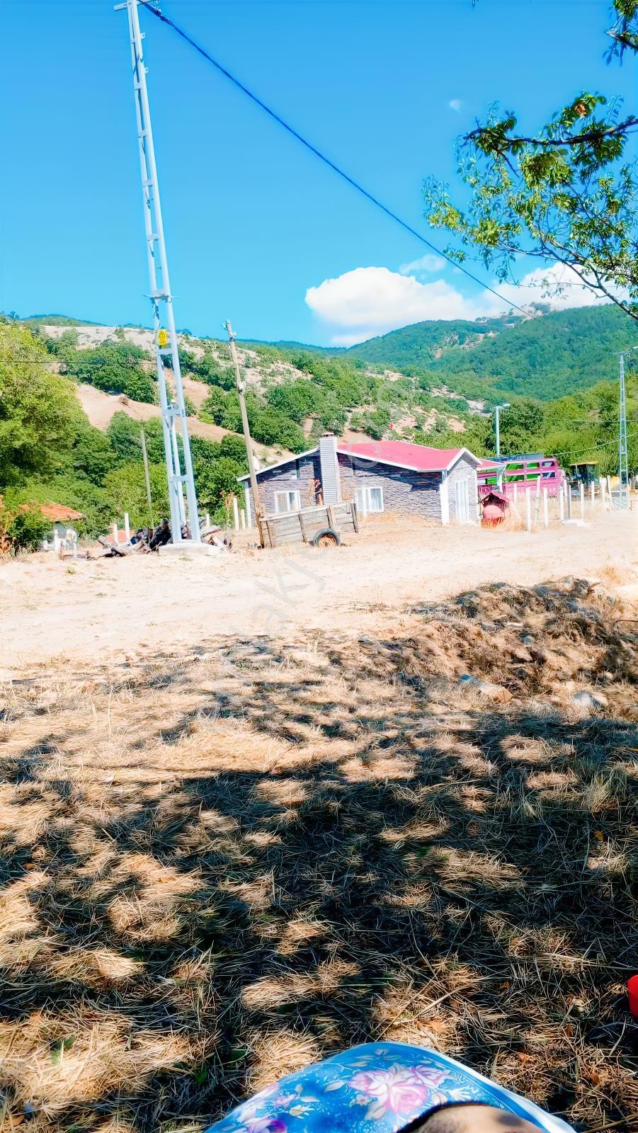 İznik İhsaniyede Köy Girişinde Yola Cepheli Müstakil 1.880 M² — fotoğraf 6