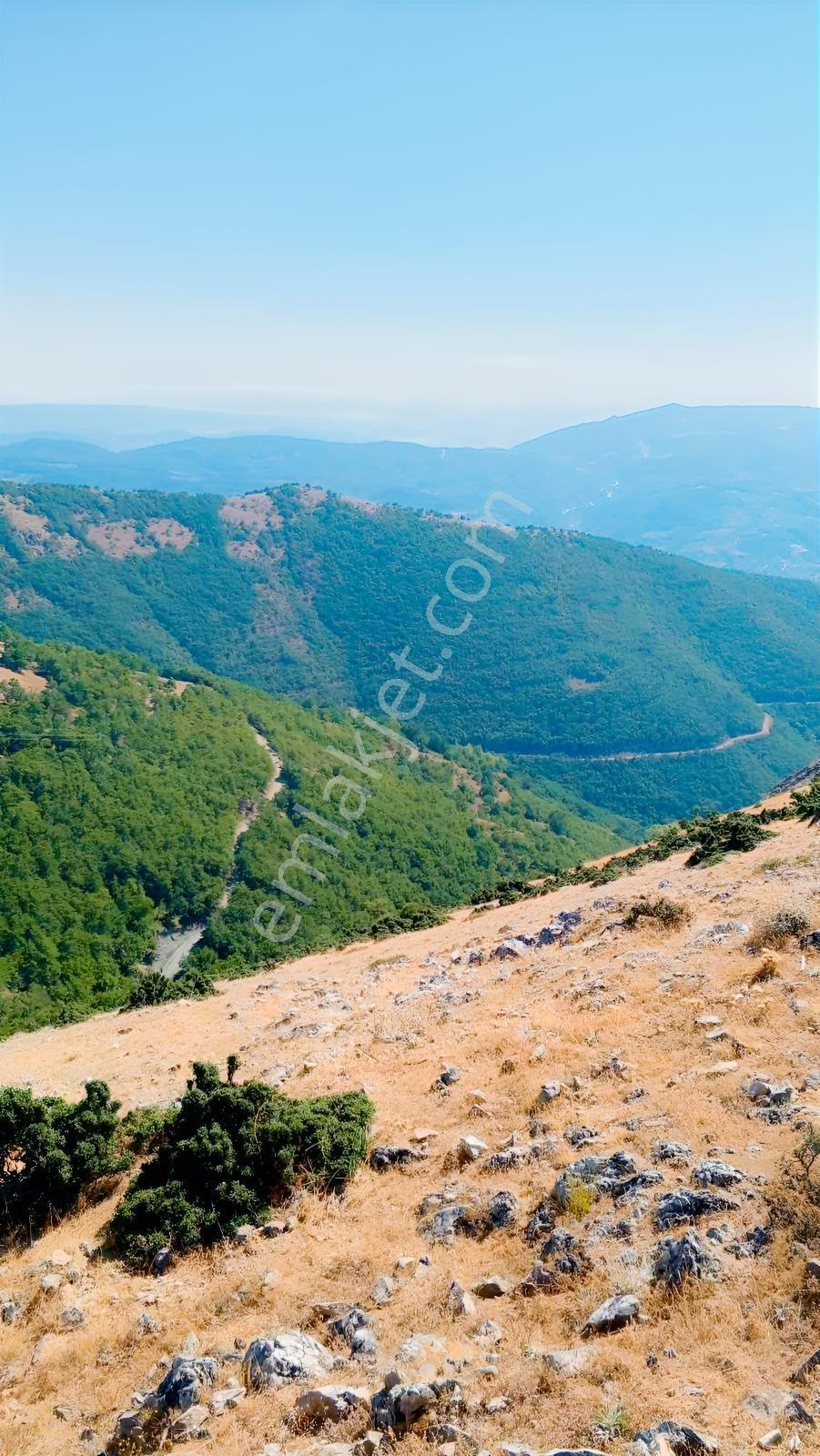 İznik İhsaniyede Köy Girişinde Yola Cepheli Müstakil 1.880 M² — fotoğraf 16