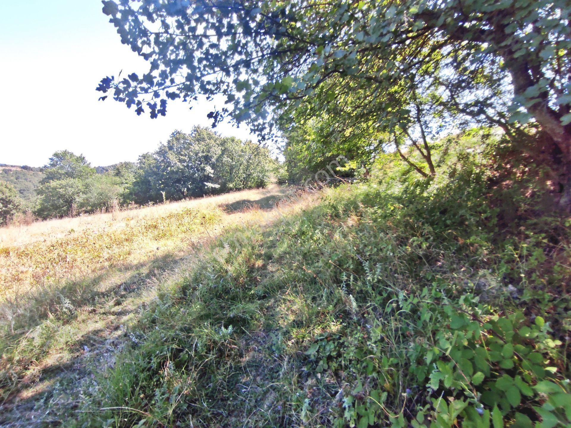 Yenişehir Kirazlı Yayala Da Doğa Manzaralı - 2590 -m2- Tarla — fotoğraf 9