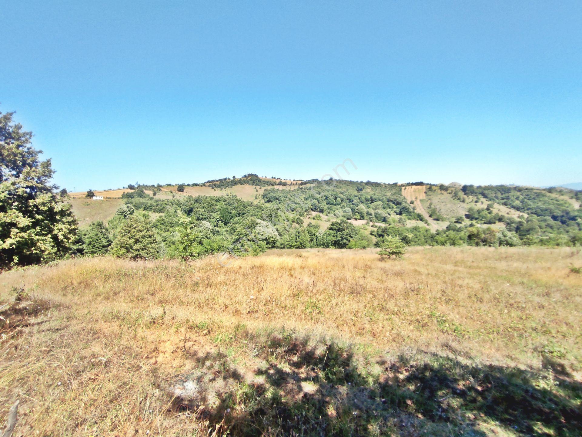 Yenişehir Kirazlı Yayala Da Doğa Manzaralı - 2590 -m2- Tarla — fotoğraf 10