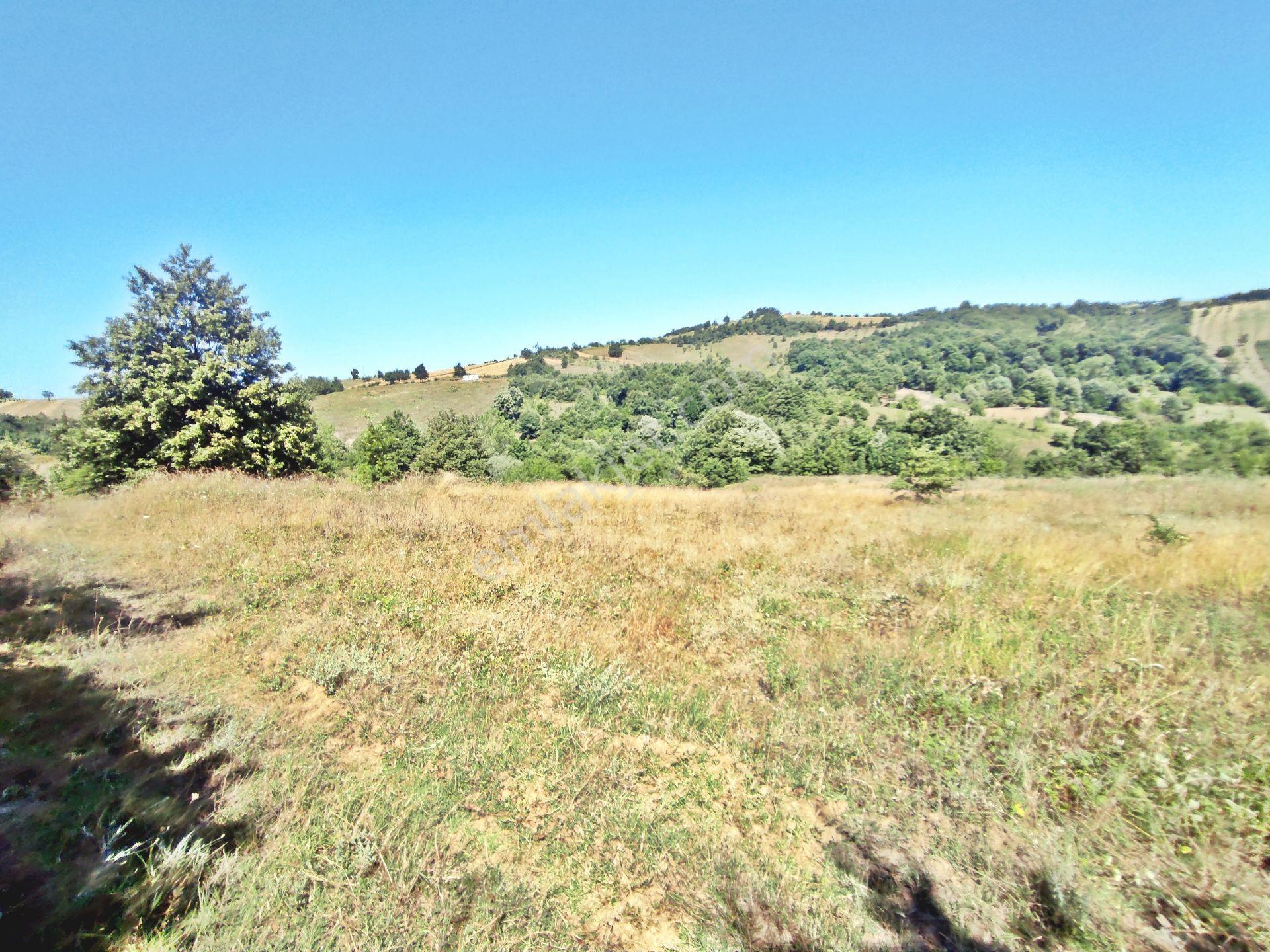 Yenişehir Kirazlı Yayala Da Doğa Manzaralı - 2590 -m2- Tarla — fotoğraf 11