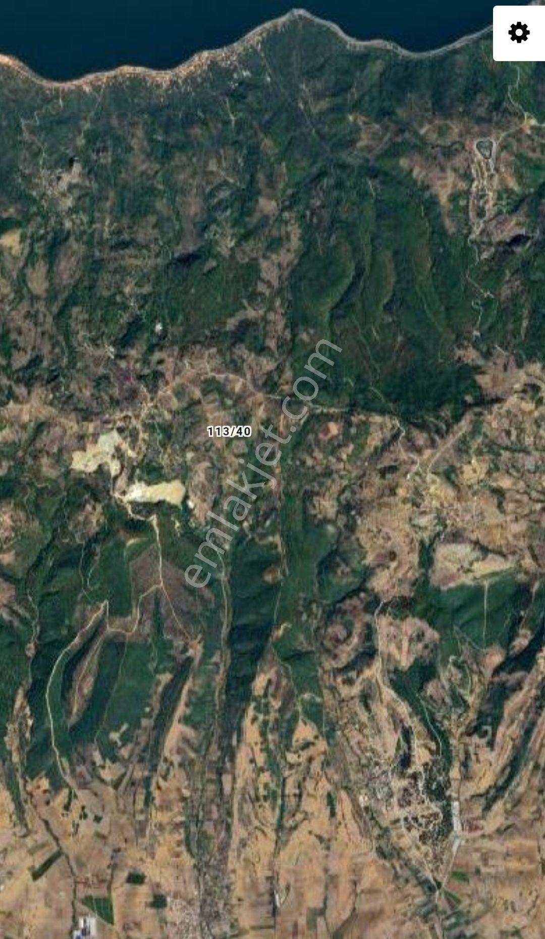 Yenişehir Kirazlı Yayala Da Doğa Manzaralı - 2590 -m2- Tarla — fotoğraf 12