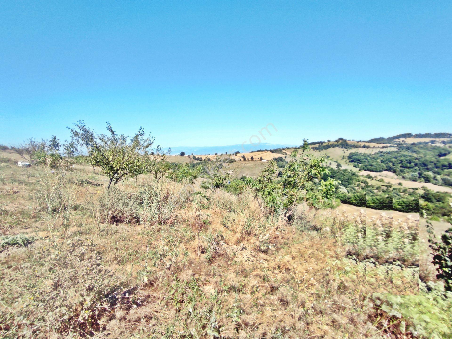 Yenişehir Kirazlı Yayala Da Doğa Manzaralı - 2590 -m2- Tarla — fotoğraf 13