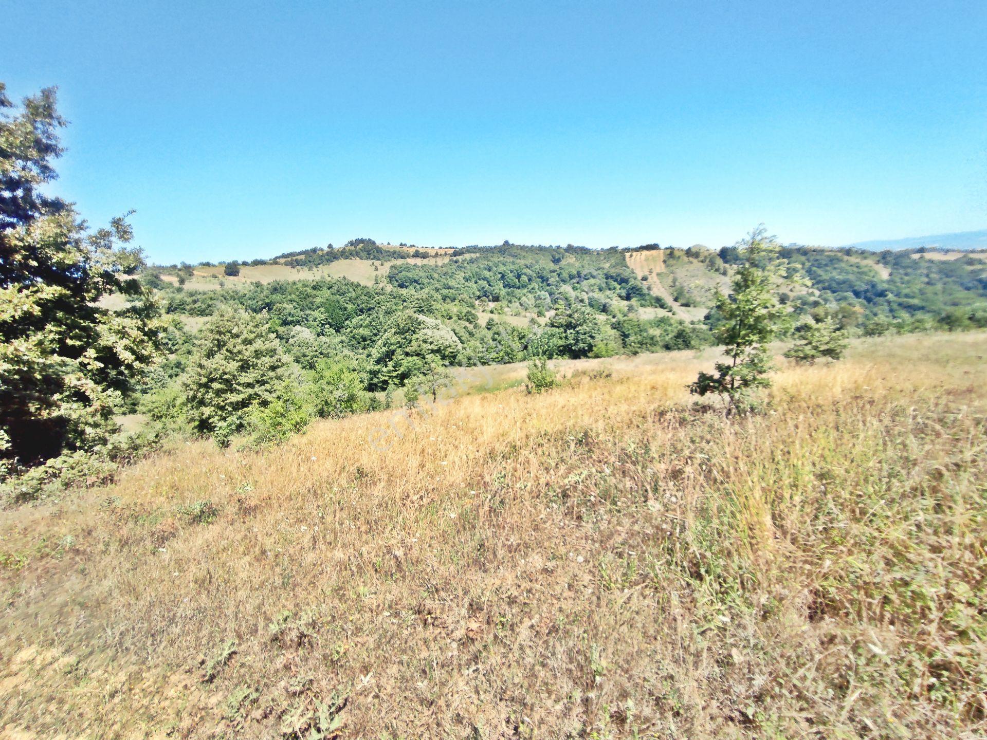 Yenişehir Kirazlı Yayala Da Doğa Manzaralı - 2590 -m2- Tarla — fotoğraf 15