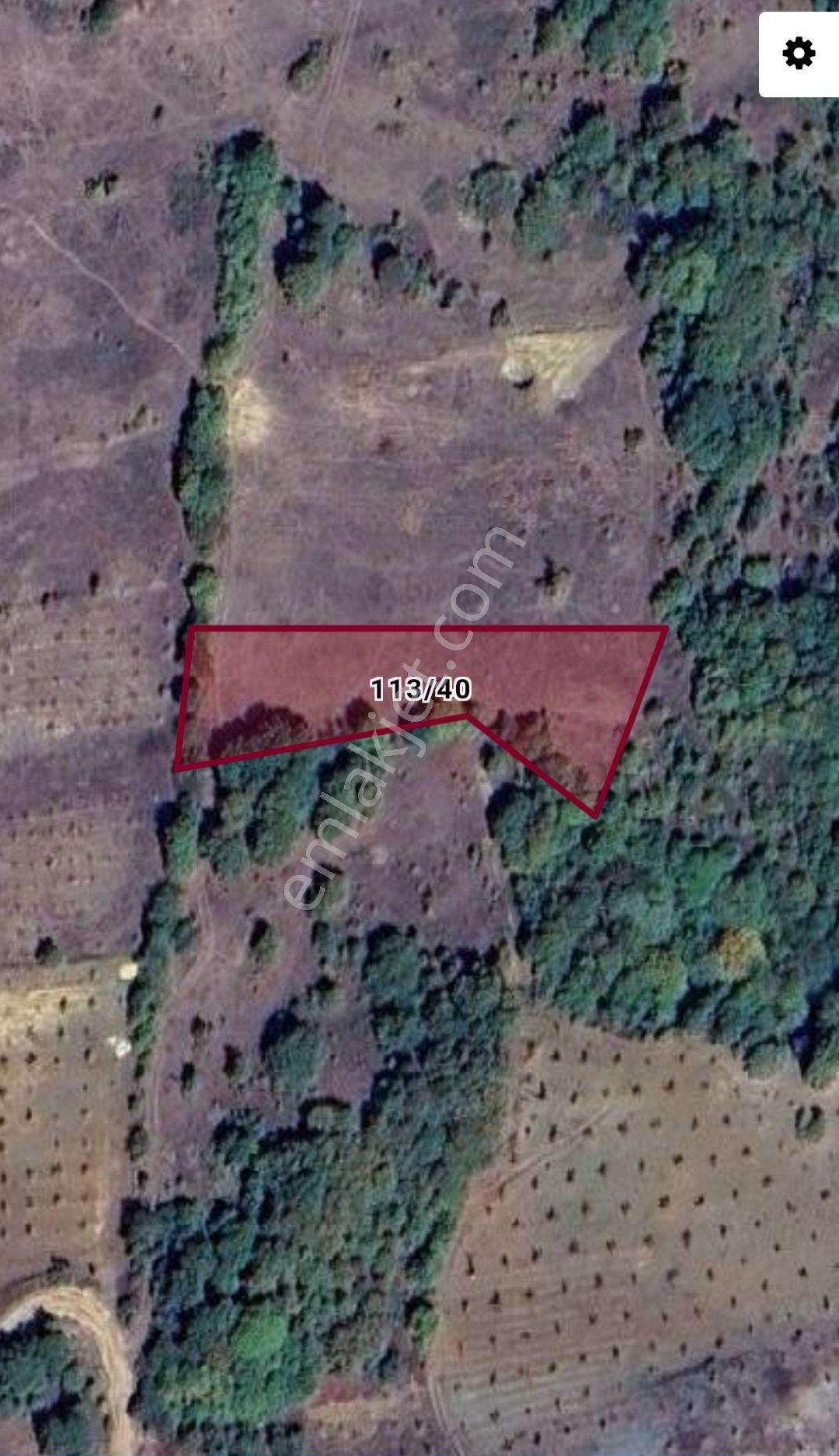 Yenişehir Kirazlı Yayala Da Doğa Manzaralı - 2590 -m2- Tarla — fotoğraf 18