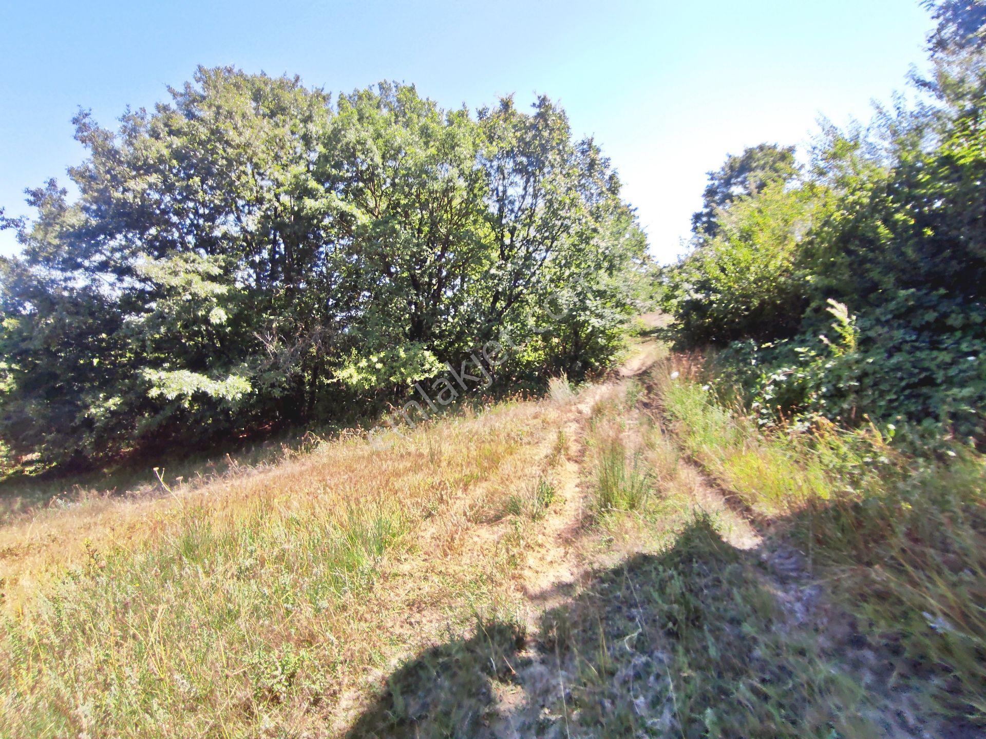 Yenişehir Kirazlı Yayala Da Doğa Manzaralı - 2590 -m2- Tarla — fotoğraf 19