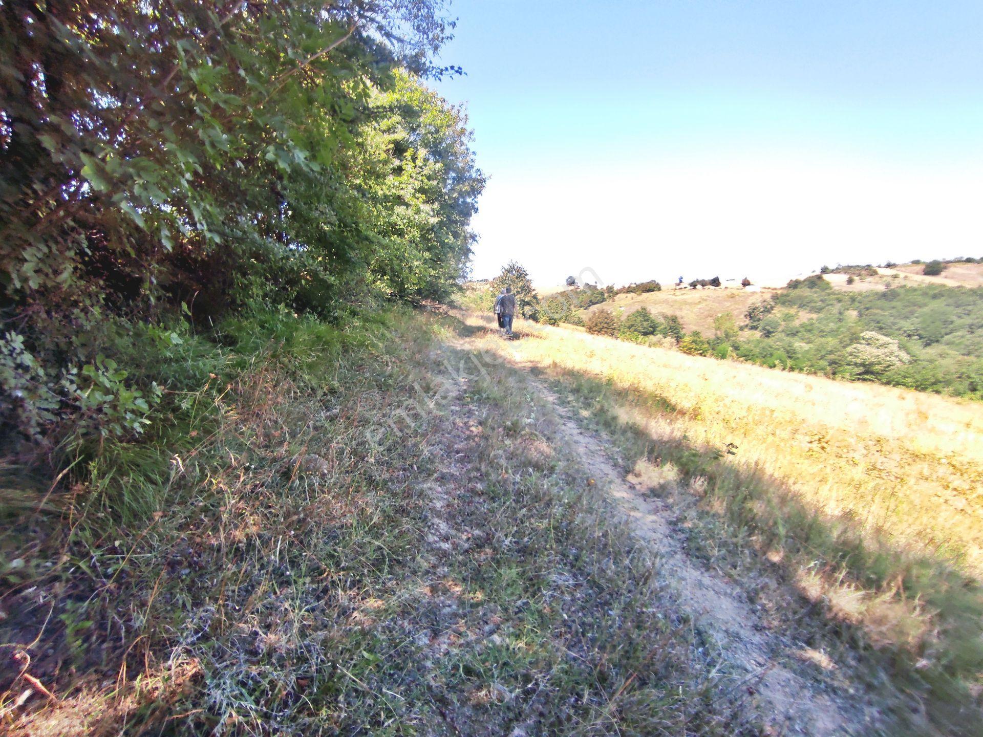 Yenişehir Kirazlı Yayala Da Doğa Manzaralı - 2590 -m2- Tarla — fotoğraf 21