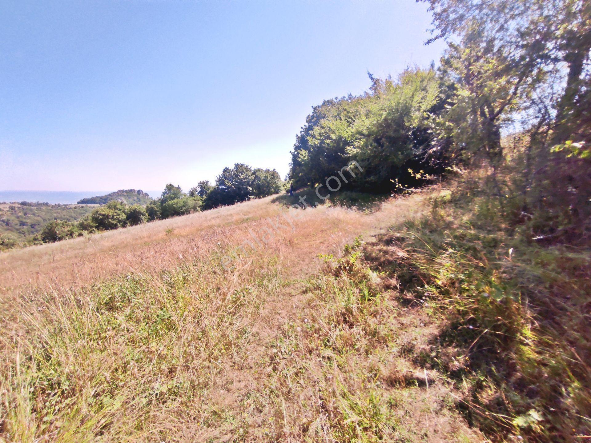 Yenişehir Kirazlı Yayala Da Doğa Manzaralı - 2590 -m2- Tarla — fotoğraf 26