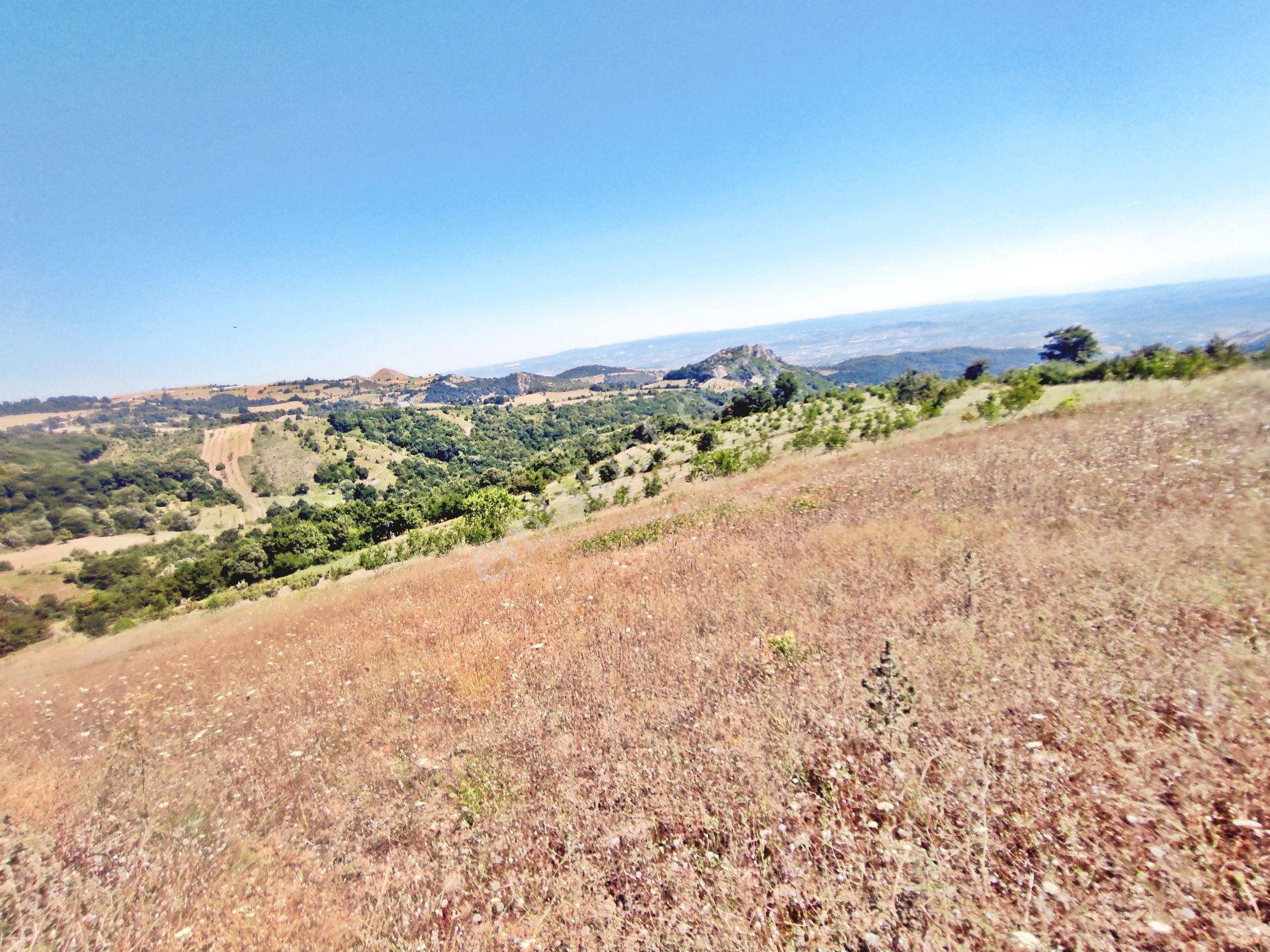 Yenişehir Kirazlı Yayala Da Doğa Manzaralı - 2590 -m2- Tarla — fotoğraf 29