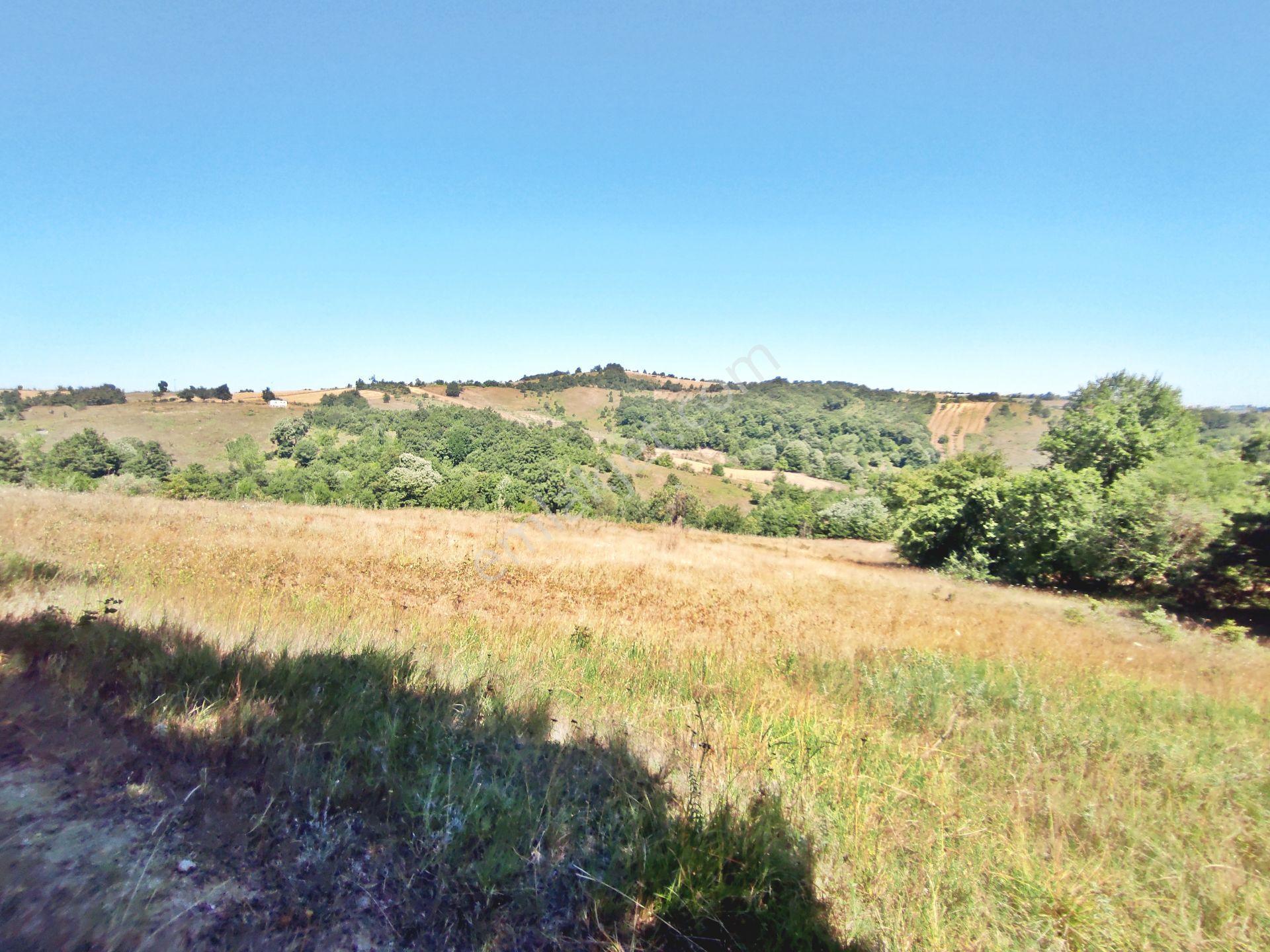 Yenişehir Kirazlı Yayala Da Doğa Manzaralı - 2590 -m2- Tarla — fotoğraf 33