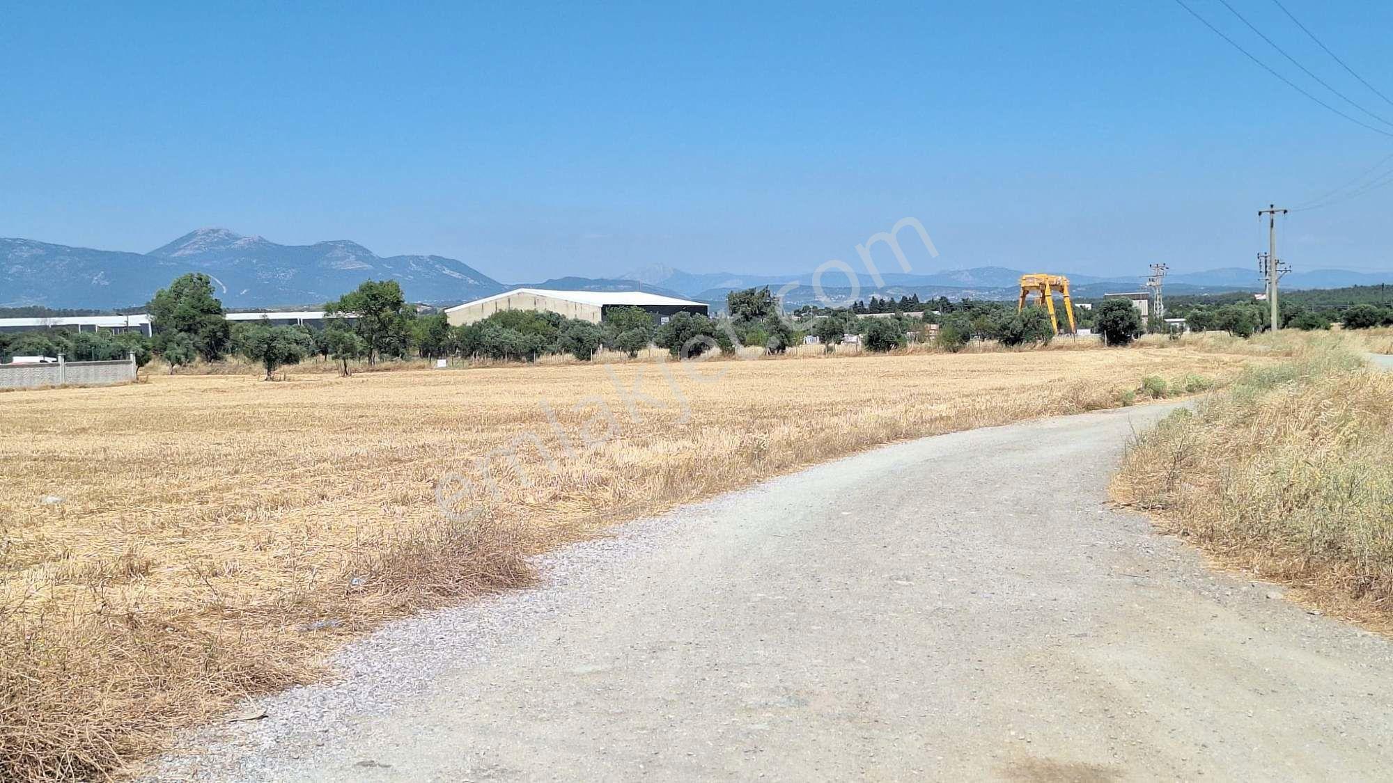 Adnan Menderes Hava Limanı Karşısında Satılık 22.490 M² Tarla — fotoğraf 8