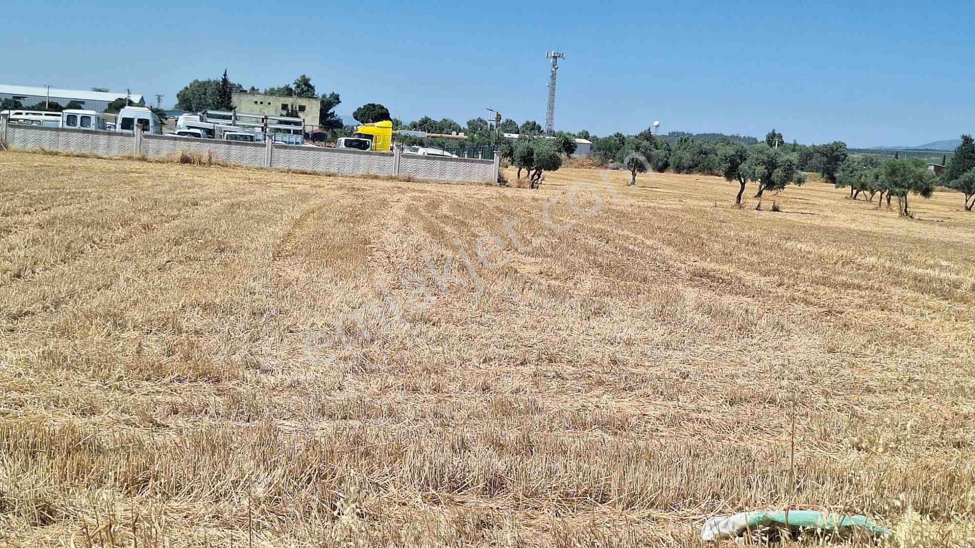 Adnan Menderes Hava Limanı Karşısında Satılık 22.490 M² Tarla — fotoğraf 11