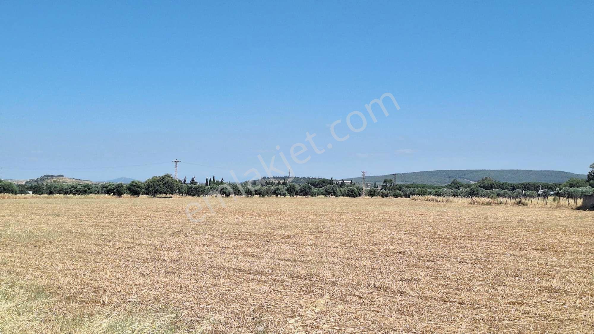 Adnan Menderes Hava Limanı Karşısında Satılık 22.490 M² Tarla — fotoğraf 12