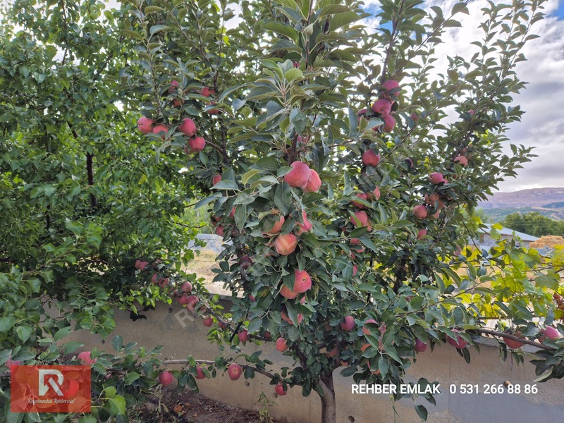 Rehber Emlak'tan Uluköy Köyünde 849 M2 Arsa İçinde Bahçeli Villa — fotoğraf 36