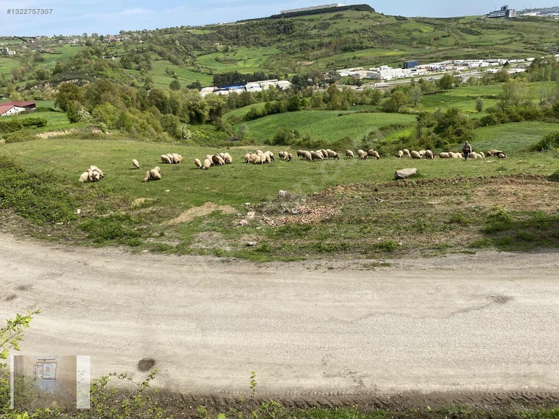 Emineller Emlak'tan Çivrilde 13 Dönüm Tarla — fotoğraf 3