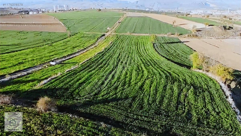 Emineller Gayrimenkul Ünüversite Arkası 7 .78 Dönüm Tarla Takasa