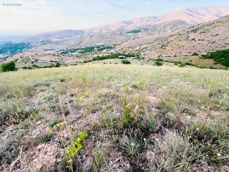 Kenan Yüksel Gayrimenkul'Den Konakta Satılık 2475 M2 Bağ
