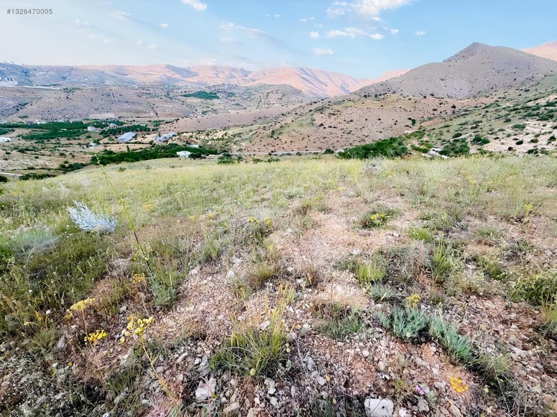 Kenan Yüksel Gayrimenkul'den Konakta Satılık 2475 M2 Bağ — fotoğraf 5