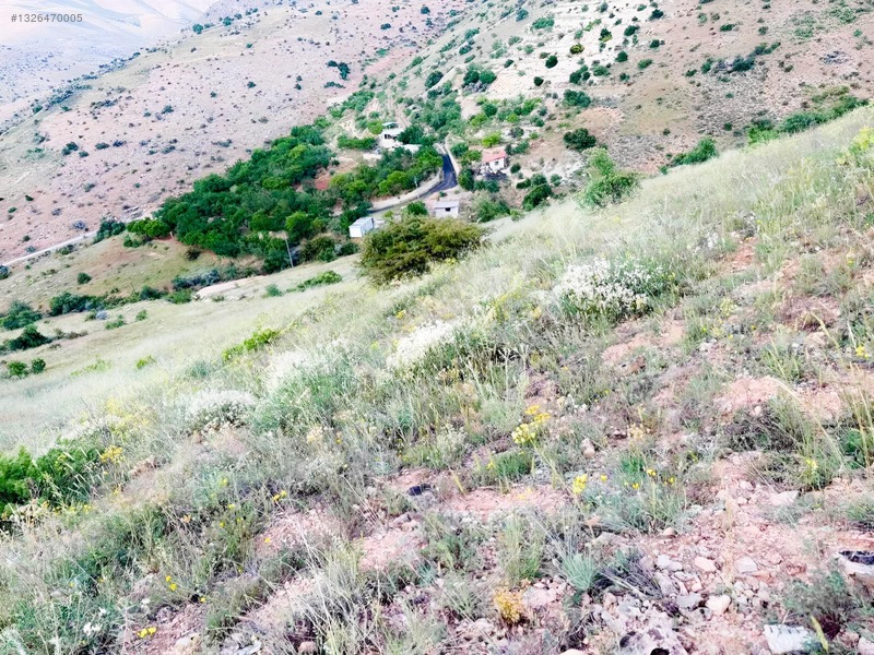 Kenan Yüksel Gayrimenkul'den Konakta Satılık 2475 M2 Bağ — fotoğraf 6