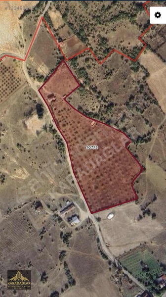 Kemaliye Dutlucada 30.775 M² Ceviz Bahçesi, 2 Katlı Ev & Havuz