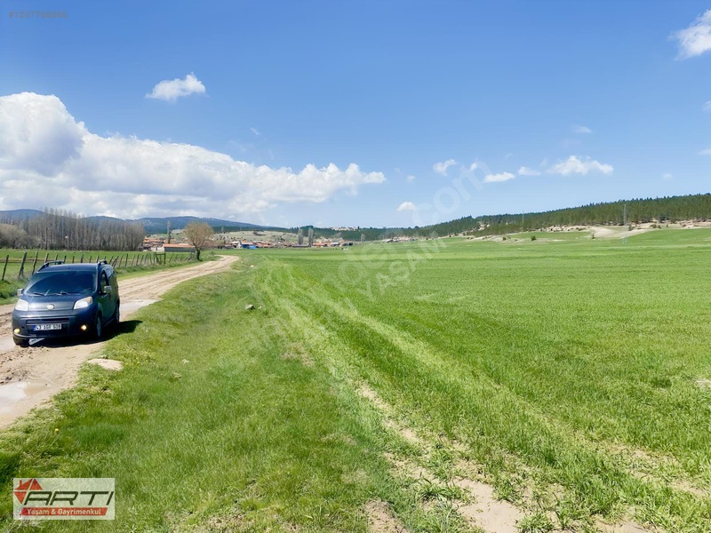 Artı'dan Aslanapa Ören Köy'de Satılık Yol Cepheli 1700 M2 Tarla