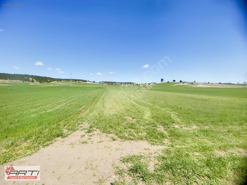 Artı'dan Aslanapa Ören Köy'de Satılık Yol Cepheli 1700 M2 Tarla — fotoğraf 3