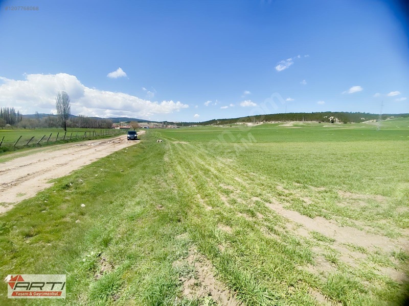 Artı'dan Aslanapa Ören Köy'de Satılık Yol Cepheli 1700 M2 Tarla — fotoğraf 10