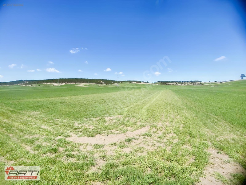 Artı'dan Aslanapa Ören Köy'de Satılık Yol Cepheli 1700 M2 Tarla — fotoğraf 11