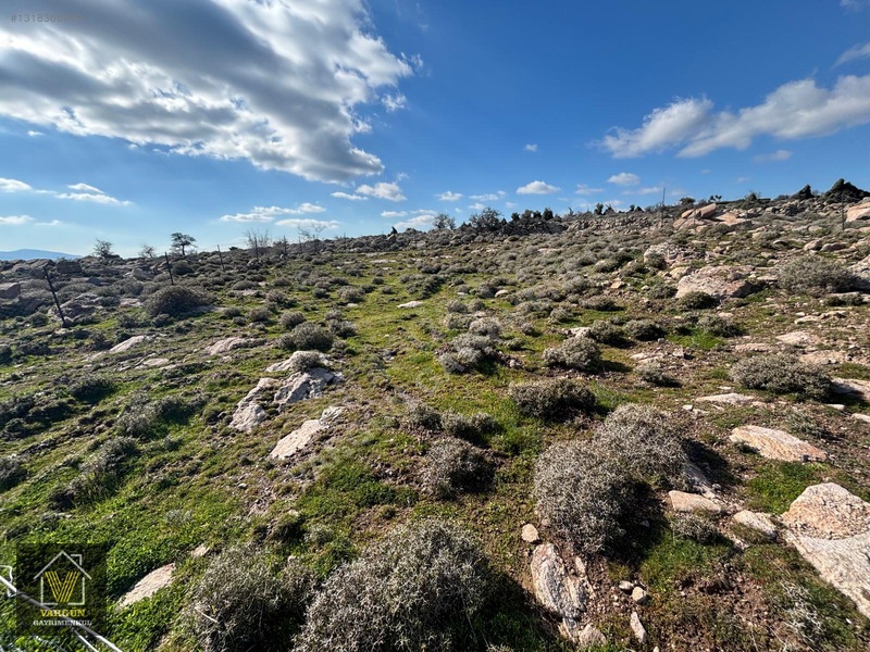 Yuntdağı Yenicede Müstakil Tapulu 340 Metrekre Tarla Arsa — fotoğraf 3