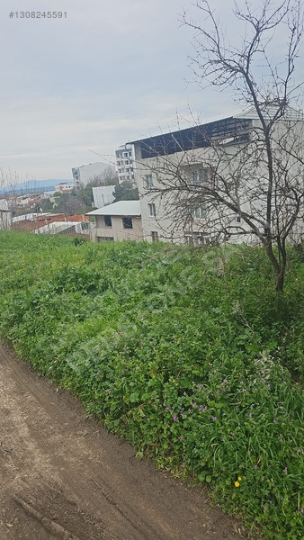 Acil Bursa Karacabey De 300m2 İmarlı Satılık Arsa Fırsat Fiyata — fotoğraf 17