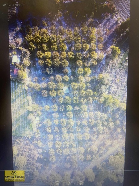 Amasya Sevıncer De Satılık Meyve Fidanlı Tarla 2900 Mk. — fotoğraf 2