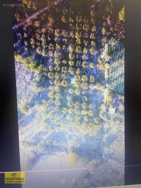 Amasya Sevıncer De Satılık Meyve Fidanlı Tarla 2900 Mk. — fotoğraf 3