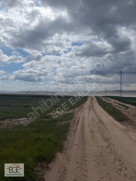 Ege Emlak'tan Meriç Nasuhbey'de Köye Yakın Tarla — fotoğraf 3