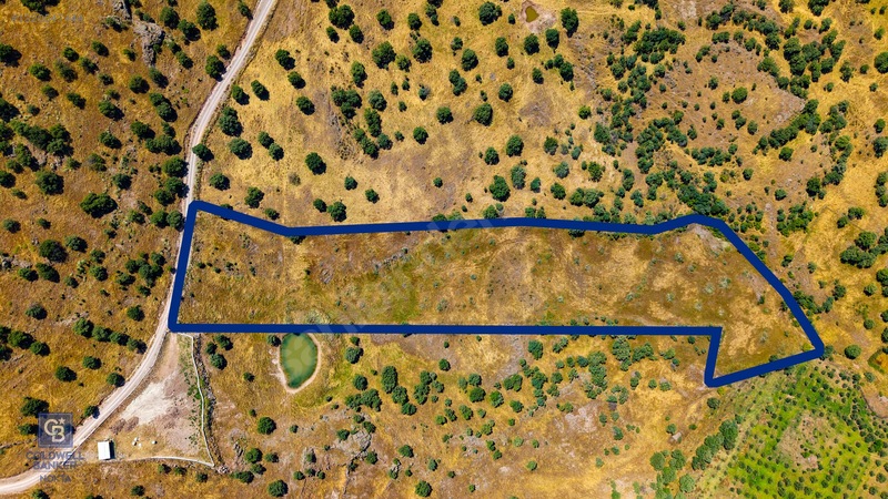Dikili Kızılçukur'da 17.446 M2 Satılık Tarla — fotoğraf 2