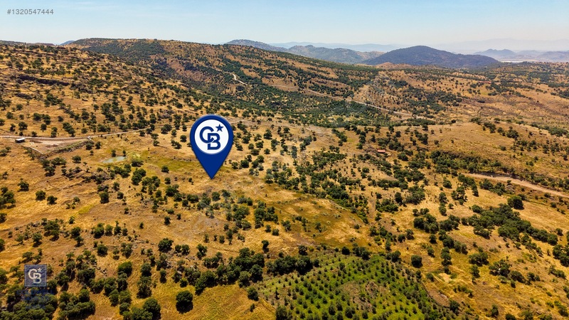 Dikili Kızılçukur'da 17.446 M2 Satılık Tarla — fotoğraf 5