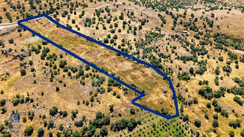 Dikili Kızılçukur'da 17.446 M2 Satılık Tarla — fotoğraf 6