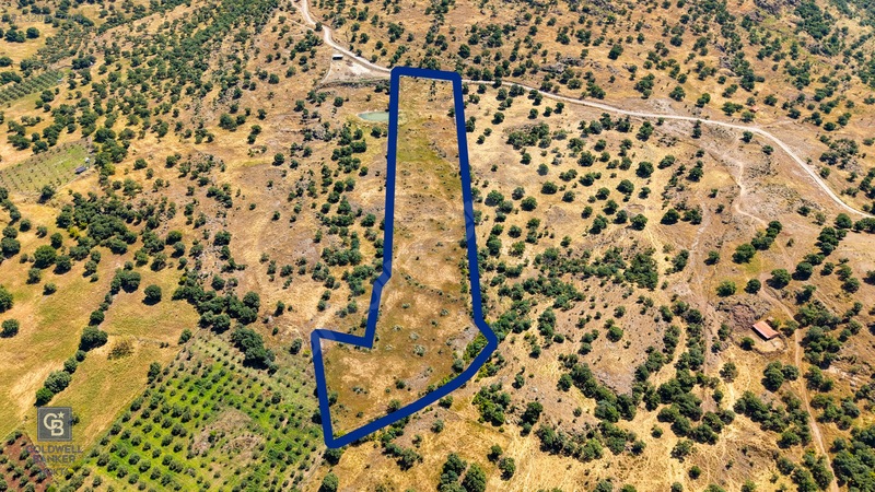 Dikili Kızılçukur'da 17.446 M2 Satılık Tarla — fotoğraf 7