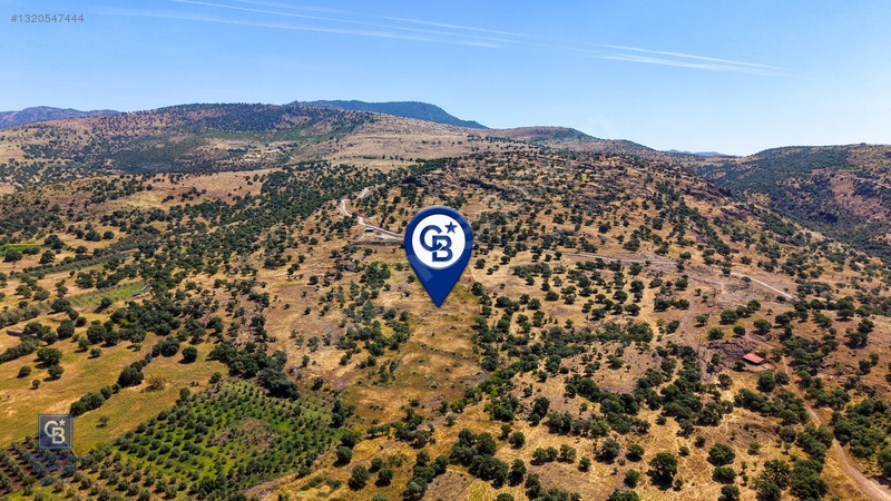 Dikili Kızılçukur'da 17.446 M2 Satılık Tarla — fotoğraf 8