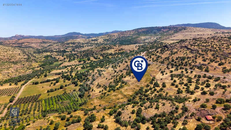 Dikili Kızılçukur'da 17.446 M2 Satılık Tarla — fotoğraf 9