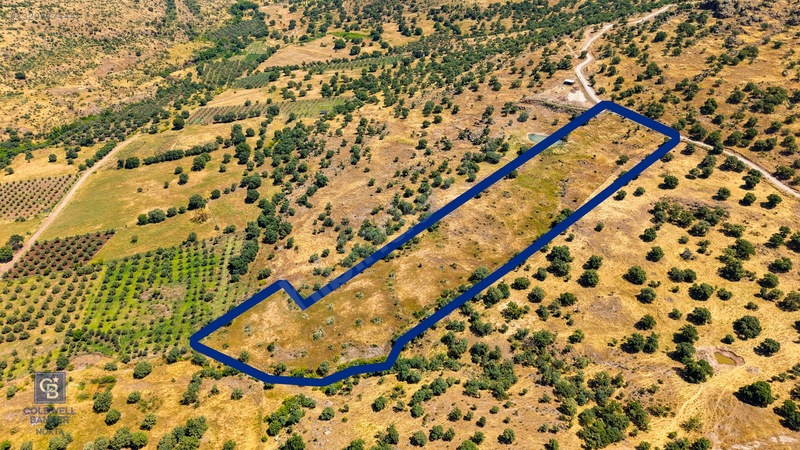 Dikili Kızılçukur'da 17.446 M2 Satılık Tarla — fotoğraf 10