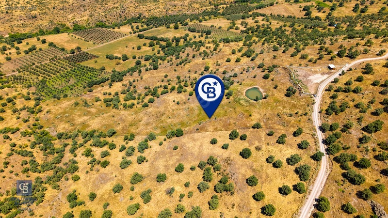 Dikili Kızılçukur'da 17.446 M2 Satılık Tarla — fotoğraf 11