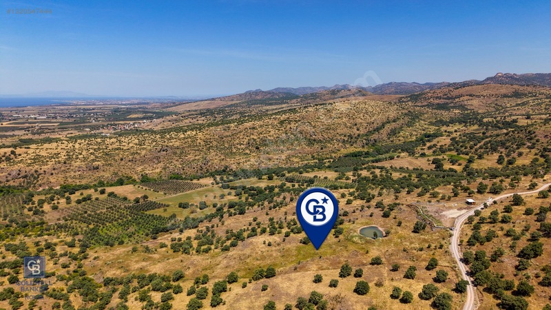 Dikili Kızılçukur'da 17.446 M2 Satılık Tarla — fotoğraf 12