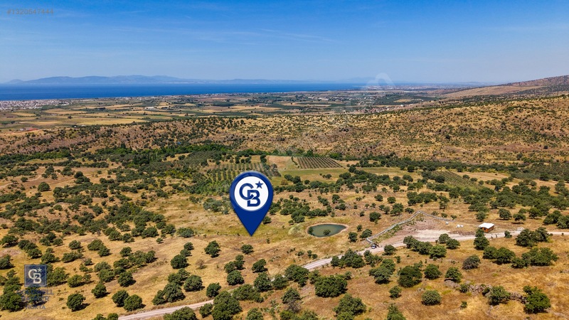 Dikili Kızılçukur'da 17.446 M2 Satılık Tarla — fotoğraf 13