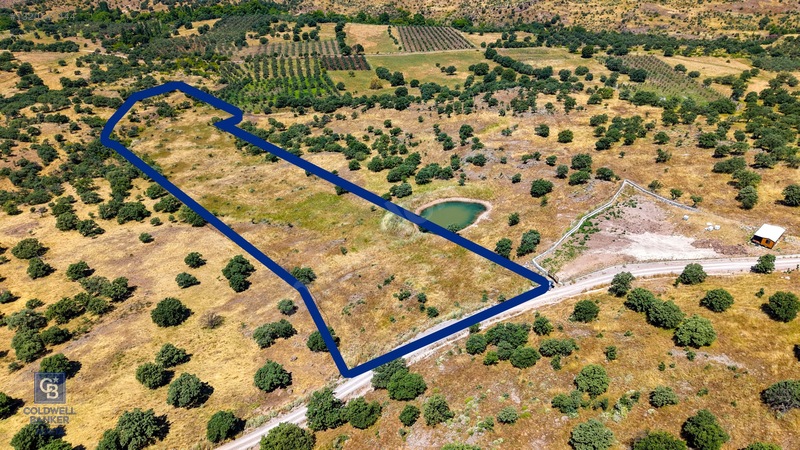 Dikili Kızılçukur'da 17.446 M2 Satılık Tarla — fotoğraf 14