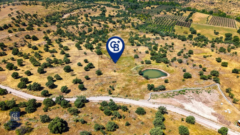 Dikili Kızılçukur'da 17.446 M2 Satılık Tarla — fotoğraf 15