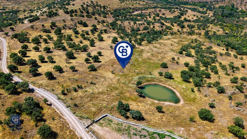 Dikili Kızılçukur'da 17.446 M2 Satılık Tarla — fotoğraf 18