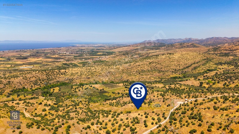 Dikili Kızılçukur'da 17.446 M2 Satılık Tarla — fotoğraf 22