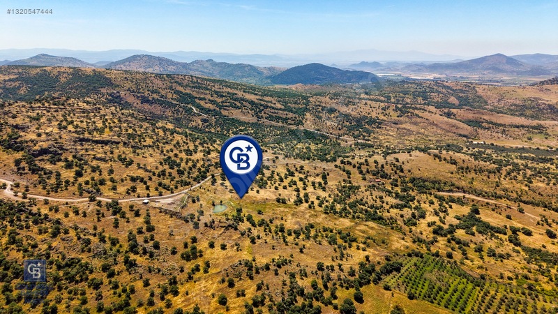Dikili Kızılçukur'da 17.446 M2 Satılık Tarla — fotoğraf 25